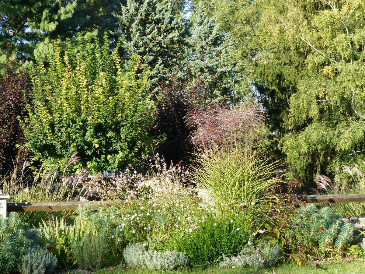 Manoir De La Vigneraie Bed & Breakfast Athée-sur-Cher Eksteriør bilde